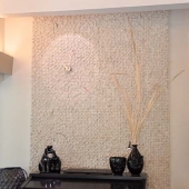 Indoor Feature Wall