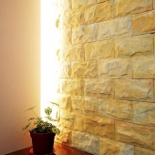 Indoor Feature Wall